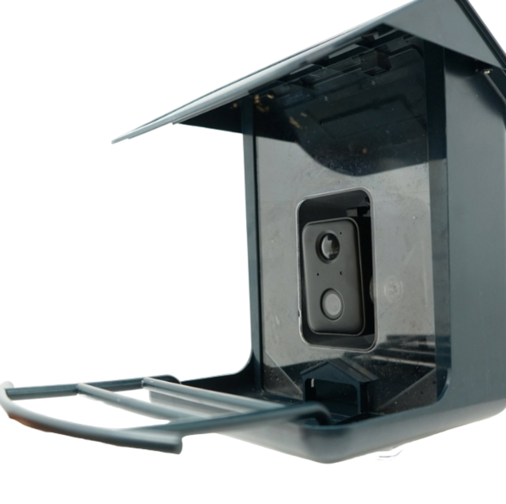 Spare BirdCam Plastic Perch